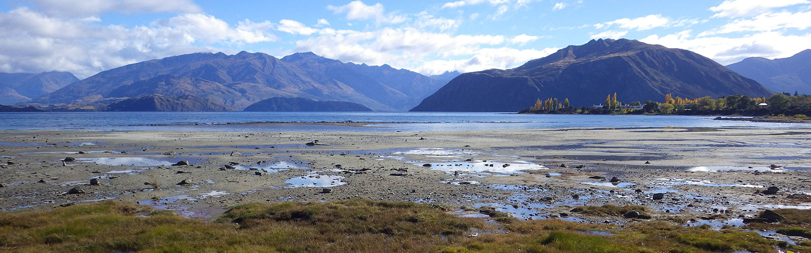 An algae-covered lake sits in front of several green mountains. 
